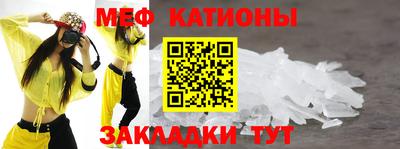 шишки Камышлов