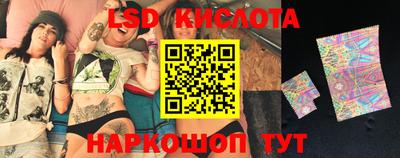 шишки Камышлов