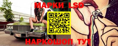 шишки Камышлов