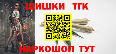 шишки Камышлов