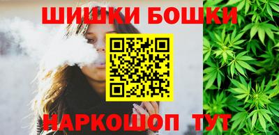 шишки Камышлов