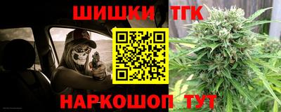 шишки Камышлов