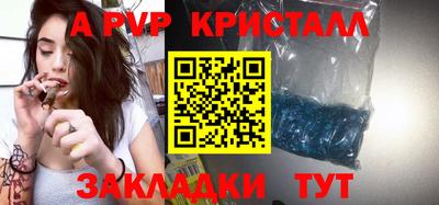 шишки Камышлов